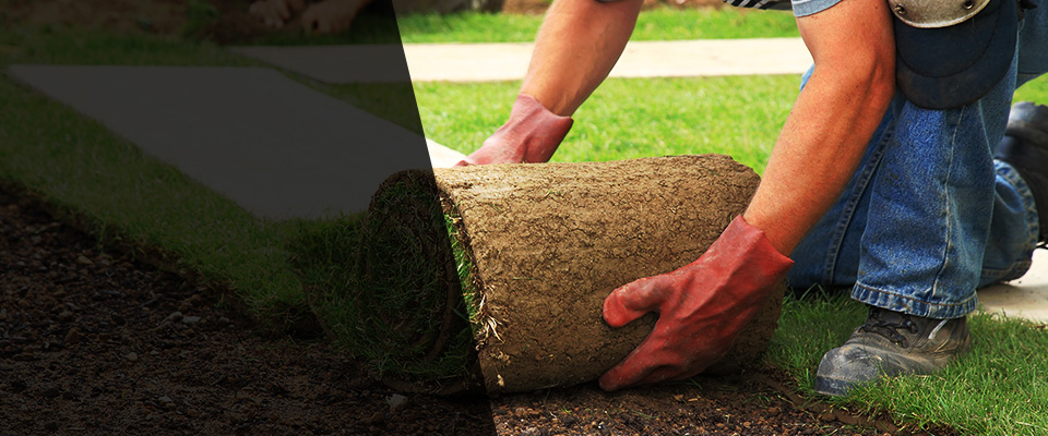 Niles Landscapers
